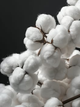 A bunch of white cotton flowers are arranged in a bunch. The flowers are arranged in a way that they are not touching each other