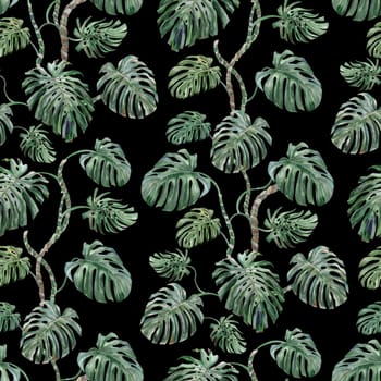 Seamless summer watercolor pattern with monstera leaves on a black background for textiles and wall decor in the interior