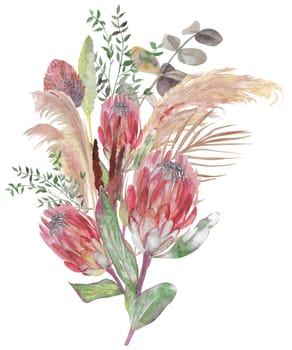 Boho style watercolor vertical bouquet with protea flowers with pampas grass dried flowers and dalma sprigs for postcards and interior