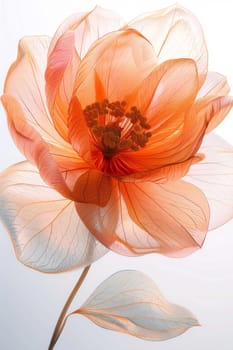 A magical red flower with petals on a white background.