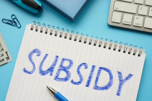 Written word subsidy in notepad.