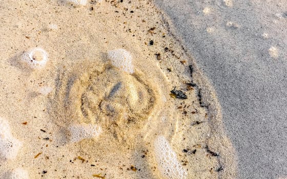 Beautiful small mini cenote cave water waves at the beach ocean with sand in Playa del Carmen in Quintana Roo Mexico.