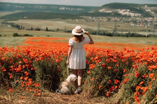 Field of poppies woman dog. Happy woman in a white dress and hat stand with her back through a blooming field of poppy with a white dog. Field of blooming poppies