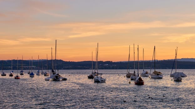 Bodensee Lake Panorama. Evening, twilight, setting sun, picturesque landscape, serene waters, boats and yachts at the dock, beautiful sky with clouds reflecting in the water, riverside at dusk, showcasing the coexistence of technology and production with the environment.