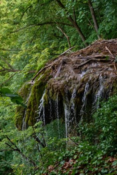 Tranquil Summit Panorama: Majestic Waterfall View amidst Black Forest Scenery in Germany. Riverside Cabin Retreat: Tranquil Hideaway in Germany's Scwarzwald amid Lush Greenery. Mountain River Serenity: Tranquil Escape amidst Scenic Black Forest Landscape in Germany