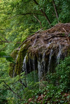 Mountain river water landscape. Wild river in mountains. Mountain wild river water view