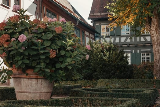 House with nice garden in fall. Flowers in the Park. Bietigheim-Bissingen. Germany, Europe. Autumn Park and house, nobody, bush and grenery