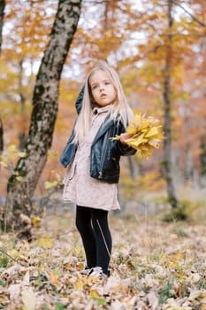 Little girl with a bouquet of yellow leaves stands in an autumn park and scratches her head. High quality photo