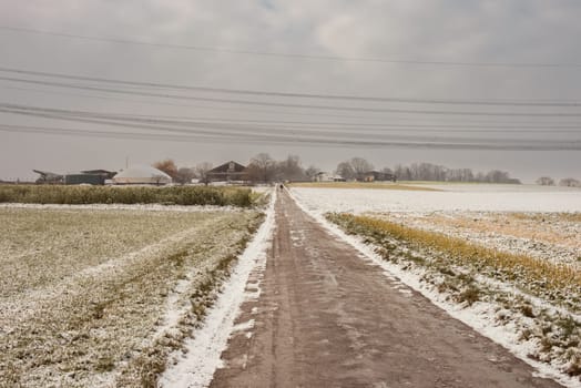 Winter Symphony: Snow-Covered Fields, Rural Roads, and Christmas Delight