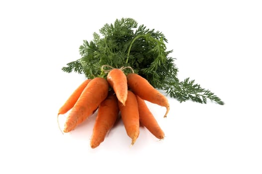 Bunch of fresh vibrant orange carrots with green leafy tops, carrots are tied together with twine isolated on white background
