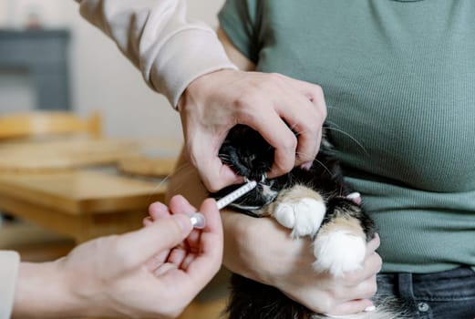 A young Caucasian unrecognizable man opens the mouth of a cat sitting in the arms of a girl to give her medicine with a syringe, close-up side view.