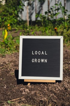 Letter board with text LOCAL GROWN on background of garden bed with bell peppers. Organic farming, produce local vegetables concept. Supporting local farmers. Seasonal market