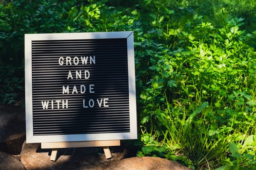 GROWN AND MADE WITH LOVE message on background of fresh eco-friendly bio grown green herb parsley in garden. Countryside food production concept. Locally produce harvesting. Sustainability and responsibility