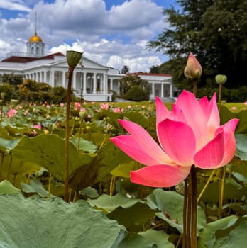 Bogor, West Java, Indonesia, 21 April 2024, Bogor presidential palace, also known as the Istana Bogor, is a historic palace located in the city of Bogor, West Java, Indonesia. The palace was built in the 18th century and served as the residence of the Dutch