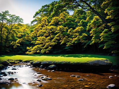 The image depicts a serene landscape with a small stream running through a lush green forest, surrounded by tall trees and rocks.