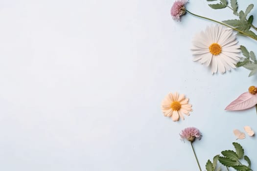 Banner: Flowers composition. Chamomile flowers on blue background. Flat lay, top view, copy space