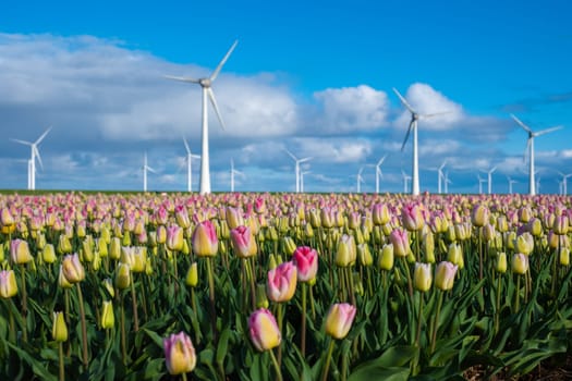 A colorful field of tulips stretches as far as the eye can see, with windmills spinning gracefully in the background under a bright Spring sky. in the Noordoostpolder Netherlands