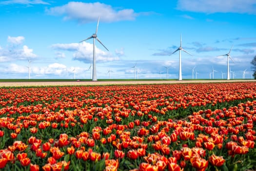 A vast field of red and yellow tulips in full bloom swaying gently in the wind, with iconic windmill turbines standing tall in the background in the Noordoostpolder Netherlands