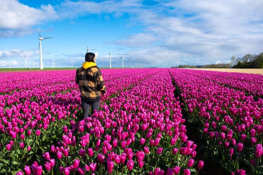 A woman stands in a vast field of purple tulips in the Netherlands during Spring, surrounded by colorful blooms and windmill turbines., Asian women in a tulip field in Spring