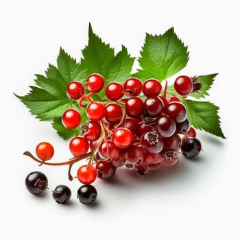 Currant berries isolate on white background. Generative AI,