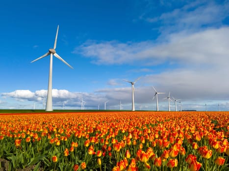 windmill park with spring flowers and a blue sky, windmill park in the Netherlands aerial view with wind turbine and tulip flower field Flevoland Netherlands, Green energy, energy transition