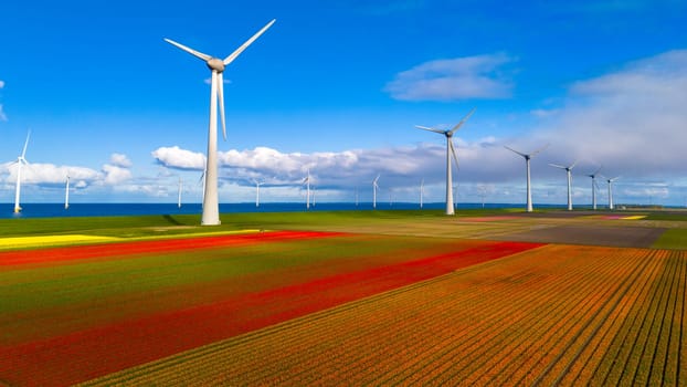 drone aerial view of a windmill park with spring flowers and a blue sky, windmill park in the Netherlands. wind turbine and tulip flower field Flevoland Netherlands, Green energy, energy transition