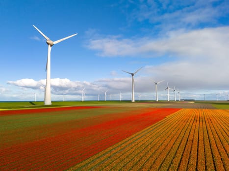 windmill park with spring flowers and a blue sky, drone view from above windmill park in the Netherlands aerial view with wind turbine and tulip flowers, Green energy, energy transition