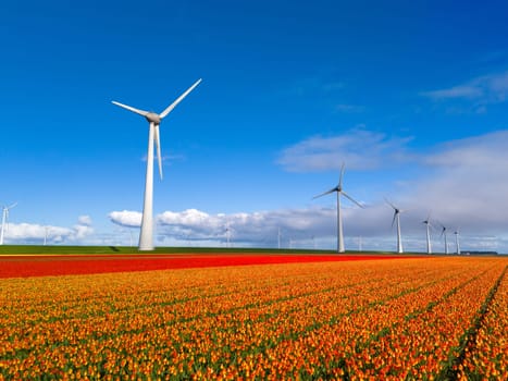 windmill park with spring flowers and a blue sky, drone aerial view with wind turbine and tulip flower field Flevoland Netherlands, zero emissions carbon neutral