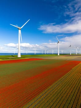 windmill park with spring flowers and a blue sky, windmill park in the Netherlands aerial view with wind turbine and tulip flower field Flevoland Netherlands,carbon neutral, energy transition