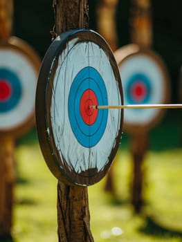 A colorful archery target is mounted on a wooden post in a lush, natural setting with blurred trees in the background, creating a serene and tranquil outdoor scene