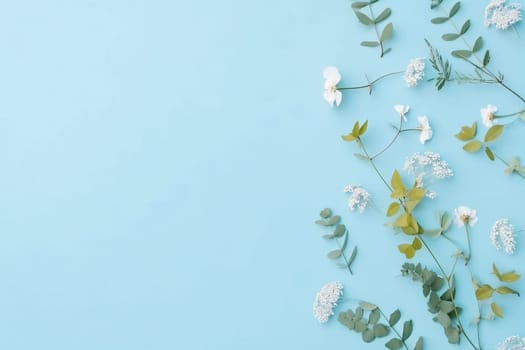 Banner: Flowers composition. Eucalyptus branches on blue background. Flat lay, top view, copy space