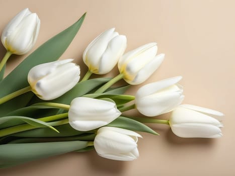 A bouquet of white tulips on a beige background, an empty space for the text on the right.
