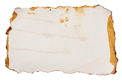 White torn piece of paper drenched in coffee on an isolated background