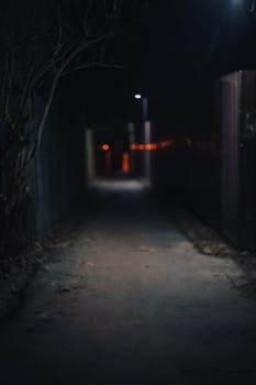 Street photo of Night Lane. High quality photo