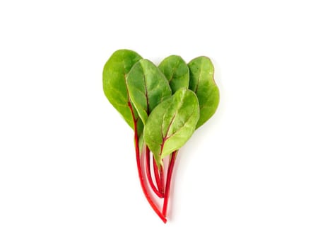 Bunch of fresh green chard leaves or mangold salad leaves on white background. Flat lay or top view fresh baby beet leaves, isolated on white background with clipping path.