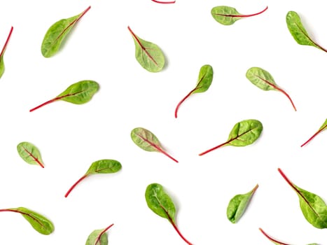 Pattern of fresh green chard leaves or mangold salad leaves on white background. Flat lay or top view fresh baby beet leaves pattern, isolated on white background with clipping path.