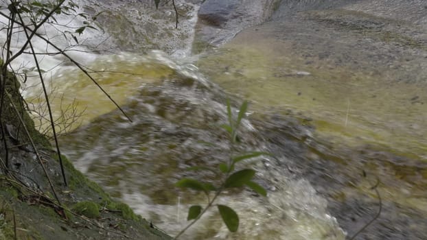 Slow-mo video of a red-rock river in a green forest, radiating calm and nature.