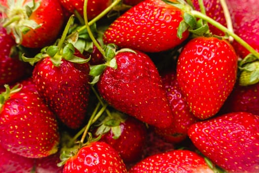 Top view of pile of strawberries completely covering the frame