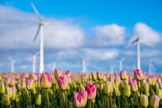 A vibrant field of tulips swayed in the wind, with windmill turbines standing tall in the background.