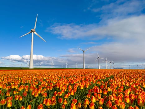 windmill park with spring flowers and a blue sky, windmill park in the Netherlands aerial view with wind turbine and tulip flowers in Flevoland Netherlands, Green energy, energy transition