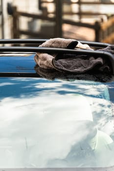 Efficiently cleaning an electric car in the comfort of a suburban driveway, combining eco-consciousness with practicality.