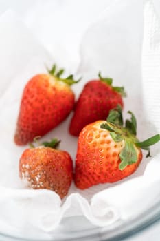 Bright red strawberries, interspersed with signs of mold, rest in a glass bowl lined with a paper towel on a white napkin, indicating improper storage techniques.