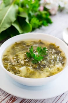 cooked green borscht from sorrel in a plate .