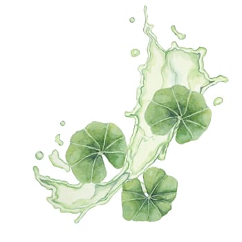 Centella asiatica and green liquid wave . Hand drawn gotu cola fluid splash clipart, watercolor pennywort juice botanical illustration for cosmetics, packaging, beauty, herbal dietary supplements