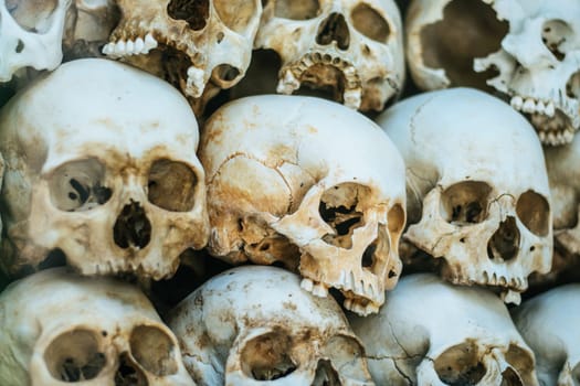 Human bones and skulls. Row of skulls. Skulls collection in catacombs. Symbol of death, fear and evil