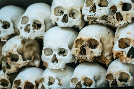 Human bones and skulls. Row of skulls. Skulls collection in catacombs. Symbol of death, fear and evil