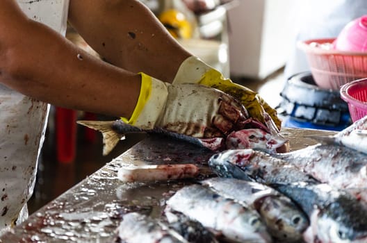 Man's hand with gloves prepares fish for sale in the market