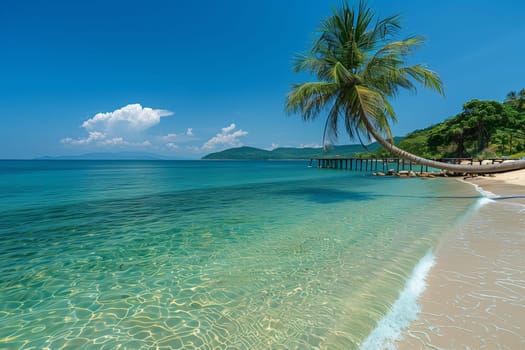 A tall palm tree standing on a sandy beach with crystal-clear blue water in the background under a sunny sky.