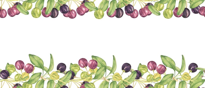 Seamless border of maqui berry and leaves in purple and green. Hand drawn watercolor illustration of Chilean wineberry cherry plant, Aristotelia chilensis for printing, food supplement, apparel, cards