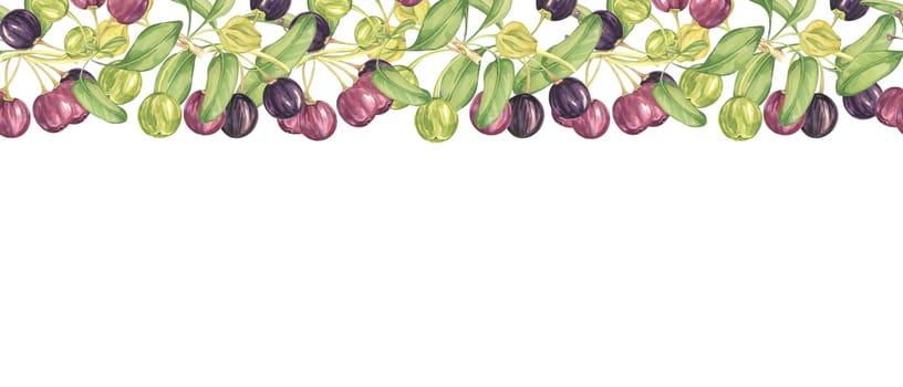 Seamless border of maqui berry and leaves in purple and green. Hand drawn watercolor illustration of Chilean wineberry cherry plant, Aristotelia chilensis for printing, food supplement, apparel, cards